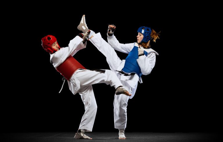 Wing Chun vs Taekwondo comparison