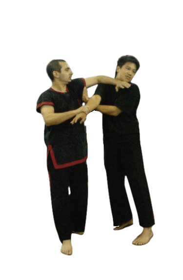 Wing Chun Chi Sao Trap and Chop