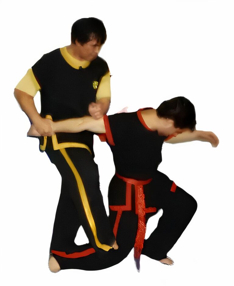 Wing Chun Grandmaster Felix Leong Executing a Technique