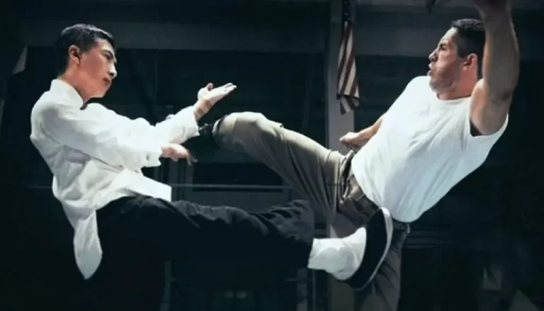 Wing Chun Donnie Yen vs Karate