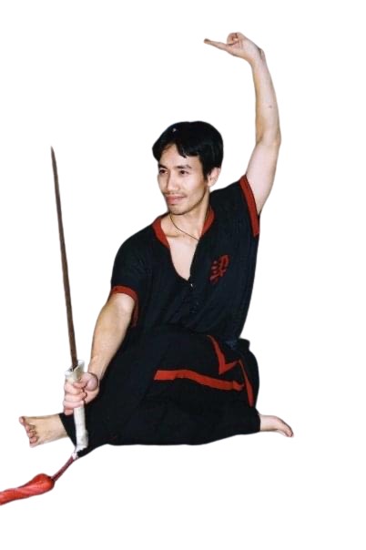 'Wing Chun fighting pose' Small Buttons | Spreadshirt