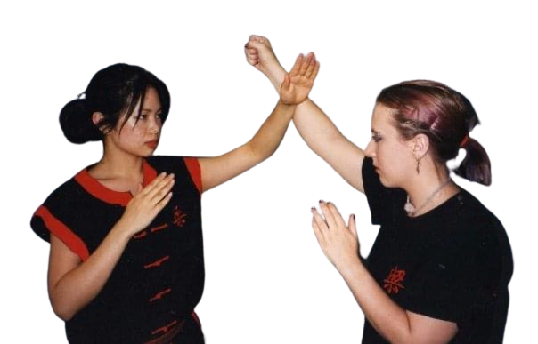 Wing Chun Woman's Self Defense Class at Felix Leong's Martial Arts Academy
