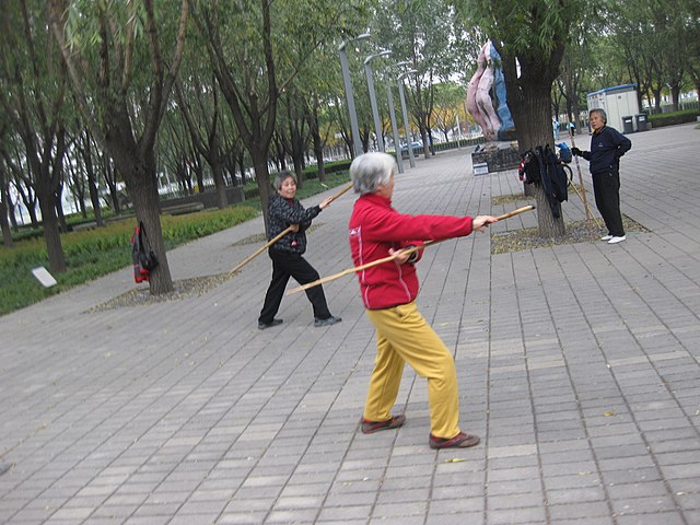 Low-impact martial arts exercises for older adult
