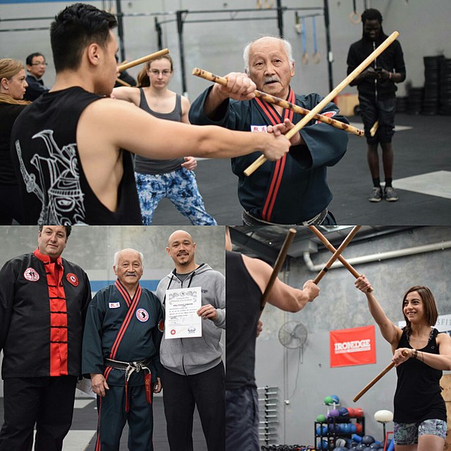 Martial Arts Kali Sticks seminar With Terry Lim and Maurice Novoa