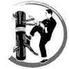 Wing Chun technique icon